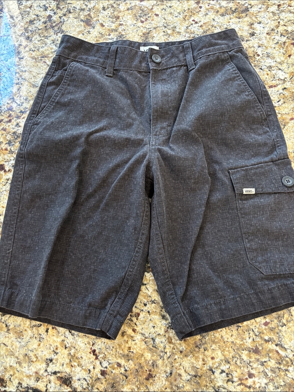 Vans Men's Charcoal Gray Cargo Shorts